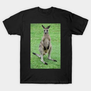 Australie - Newcastle, Kangourou T-Shirt